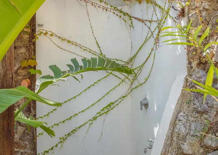 Posea Collection - La Villa *