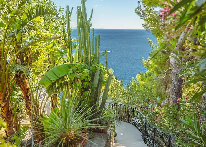 Posea Collection - La *